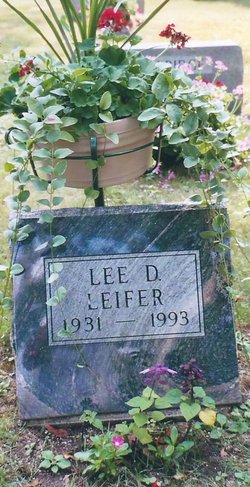 Lee D. Leifer 