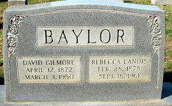 David Gilmore Baylor 