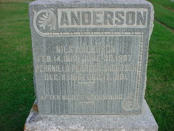 Pearnilla <I>Behrson</I> Anderson 