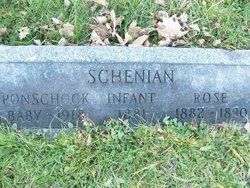 (Infant) Schenian 