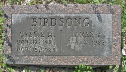 James A. Birdsong 