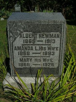 Amanda L <I>Elston</I> Newman 