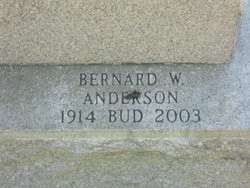 Bernard W Anderson 