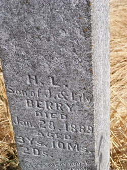 Henry Logan Berry 