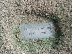 Anthony L Wilson 