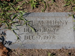 David L. Anthony 