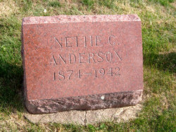 Nettie Catherine Anderson 