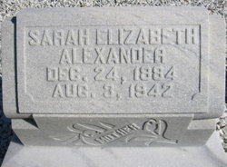 Sarah Elizabeth <I>Elsberry</I> Alexander 