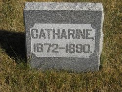 Catherine Feehan 