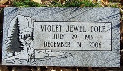 Violet Jewel <I>Birman</I> Cole 