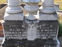 Thomas D. Wilkes 