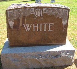 William White 