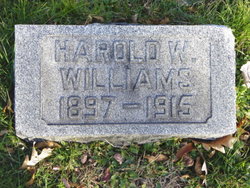 Harold W Williams 