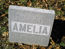 Amelia Evans 