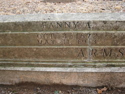 Annie T “Fanny” <I>Stephens</I> Armstrong 