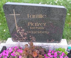 Karl Platzer 
