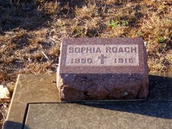Sophia Elisabetha <I>Roeder</I> Roche 