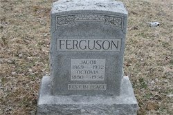 Jacob Ferguson 