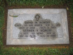 David H Boroff 
