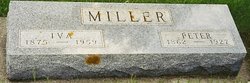 Peter Miller 