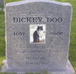 Dickey-Doo 