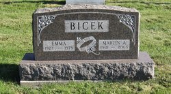 Martin A. Bicek 