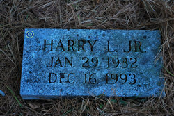 Harry L Irving Jr.