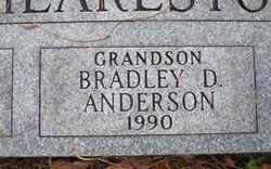 Bradley D. Anderson 