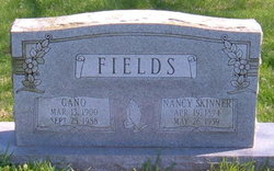 Nancy Jane <I>Skinner</I> Fields 