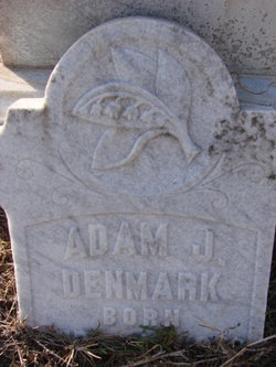 Adam J Denmark 