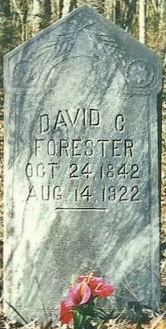 David C Forester 