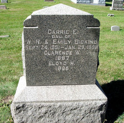Carrie E. Bicking 