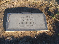 David Lee Palmer 