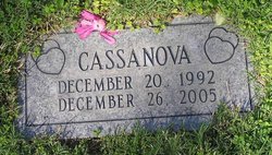 Cassanova 