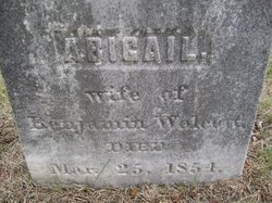 Abigail <I>Rockwell</I> Walcott 