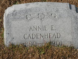 Annie E. Cadenhead 