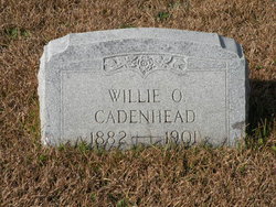 Willie O. Cadenhead 