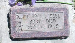 Michael L Peel 
