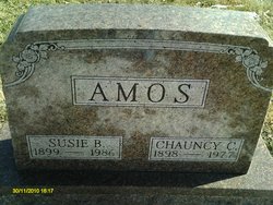 Susie Beatrice <I>Johns</I> Amos 