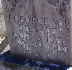 George W Steward 