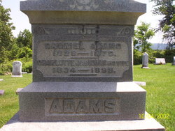 Gabriel Adams 