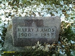 Harry Johnson Amos Sr.