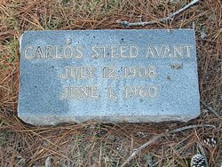 Carlos Steed Avant 