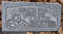 Abby Rae Carter 