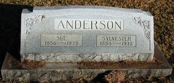 Susanah “Sue” <I>Skelton</I> Anderson 