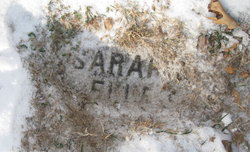 Sarah “Sallie” <I>Curran</I> Mueller 