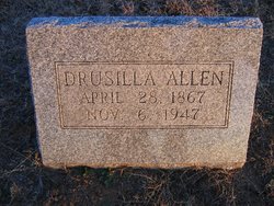 Drusilla Delaphia <I>Abbott</I> Allen 