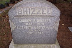 Andrew Riseley Brizzee 