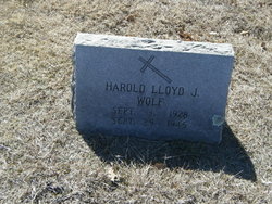 Harold Lloyd Wolf 