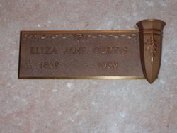 Eliza Jane <I>Blevins</I> Curtis 